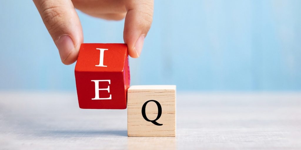 هوش هیجانی چگونه عمل می کند