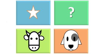 ماتریس بوستون