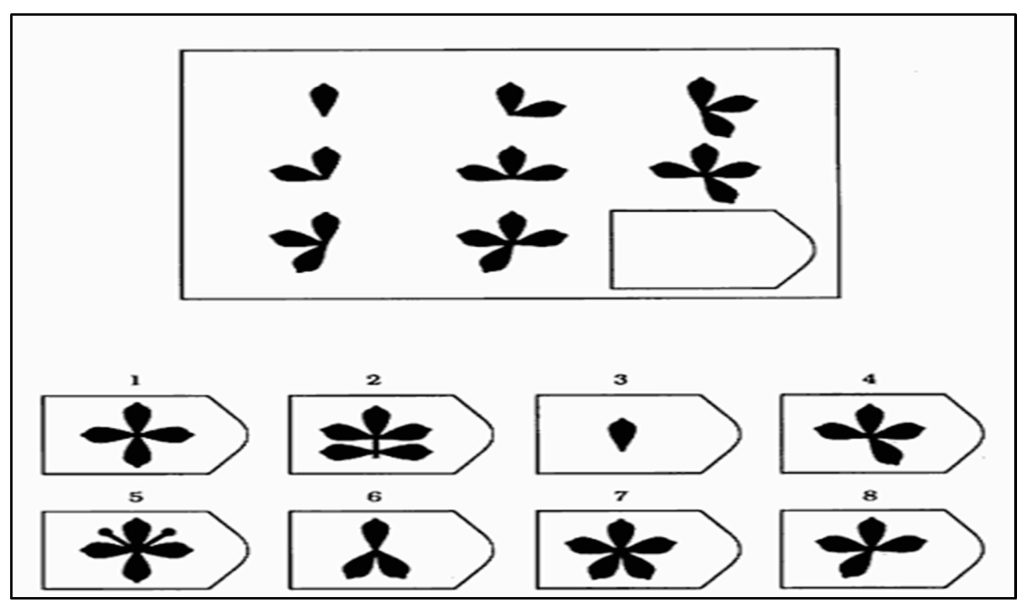 دقیق ترین تست هوش